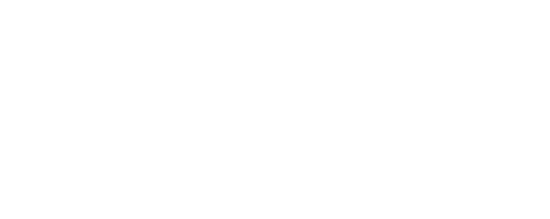 SUMMER TRIPS
